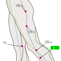 E36